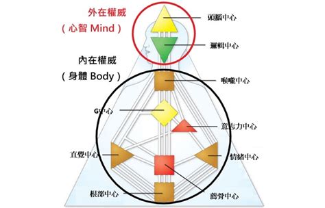 人類圖分析怎麼看|人類圖怎麼看？看懂人類圖詳細解析：9大能量、4大類。